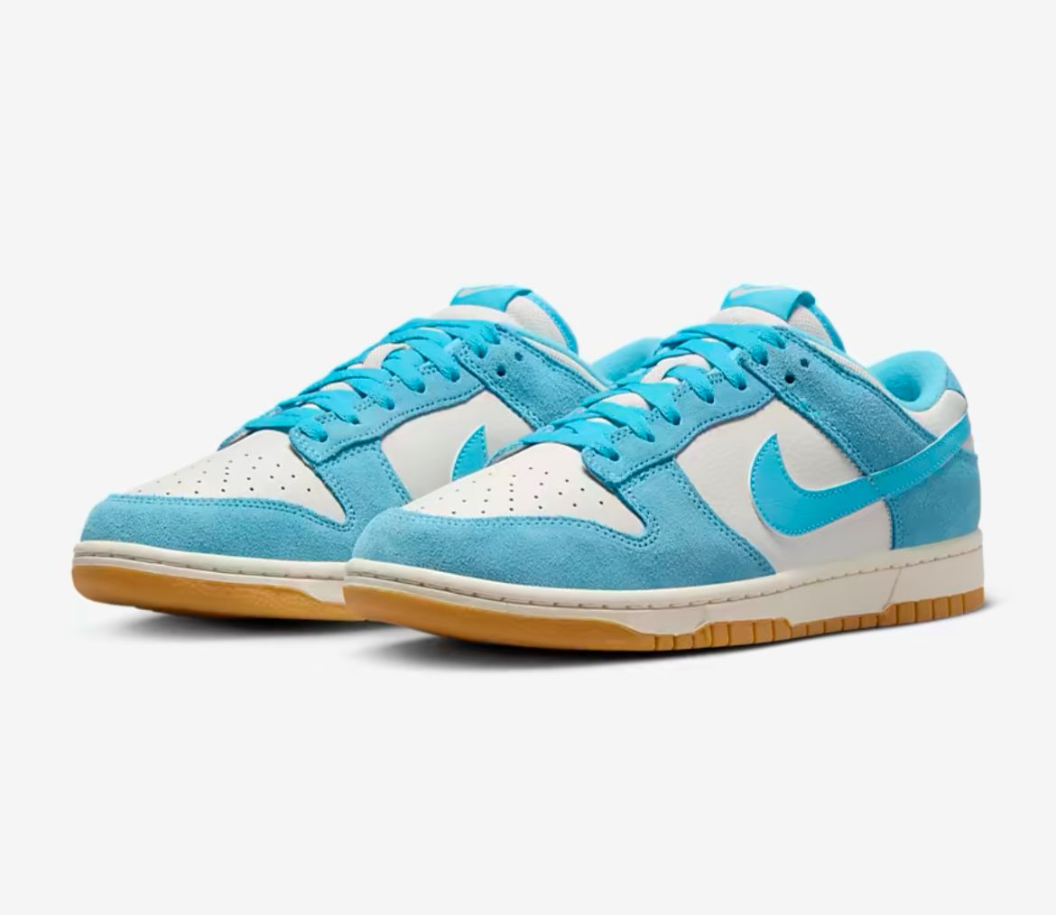 Nike Dunk Low (Dunk Dynasty)